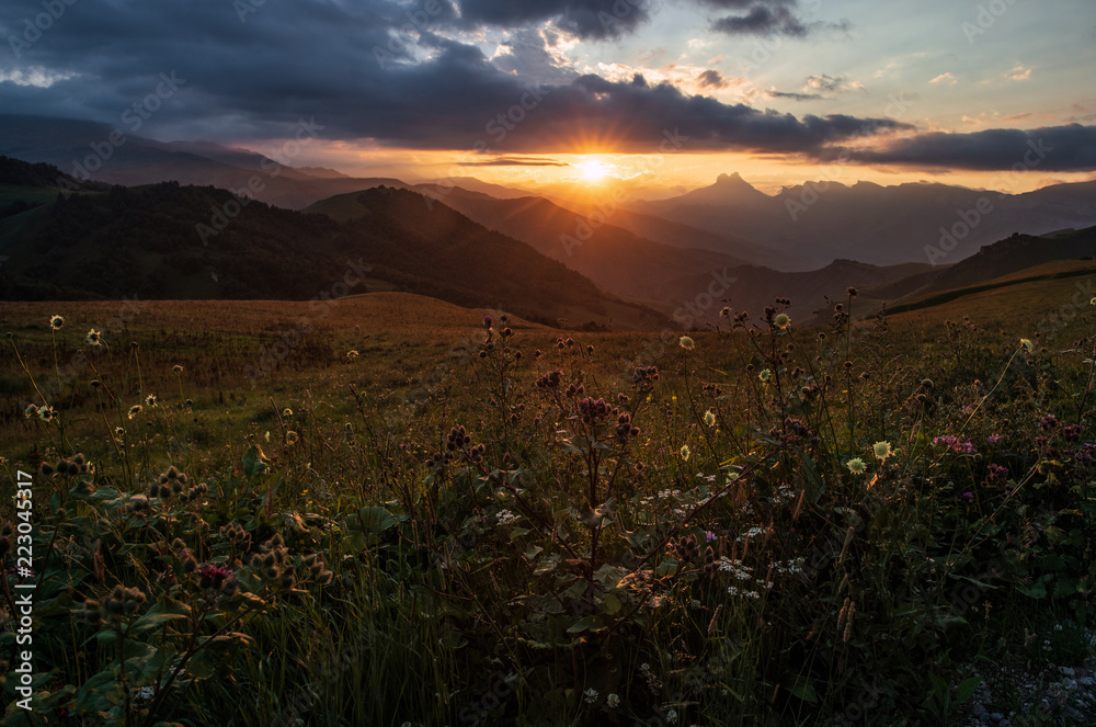 Sunset in the mountains, a field of flowers