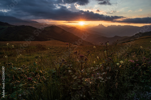 Sunset in the mountains, a field of flowers