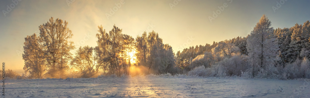 Fototapeta Panoramiczny zimowy krajobraz. Mroźna przyroda w ciepłym, złotym słońcu. Żywe promienie słońca świecą na drzewach pokrytych szronem. Piękny zimowy poranek. Niesamowita zima. Boże Narodzenie i Nowy Rok w tle