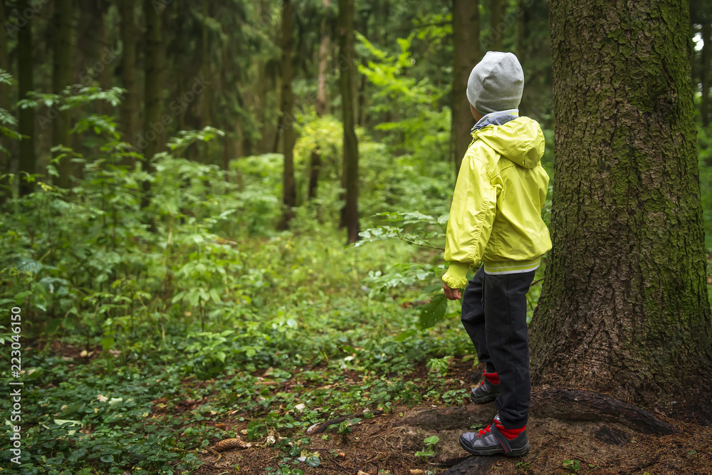Child was lost in the forest. Little boy lost his way in the forest. A child walks through the green forest alone. Kid looks at into distance at green forest