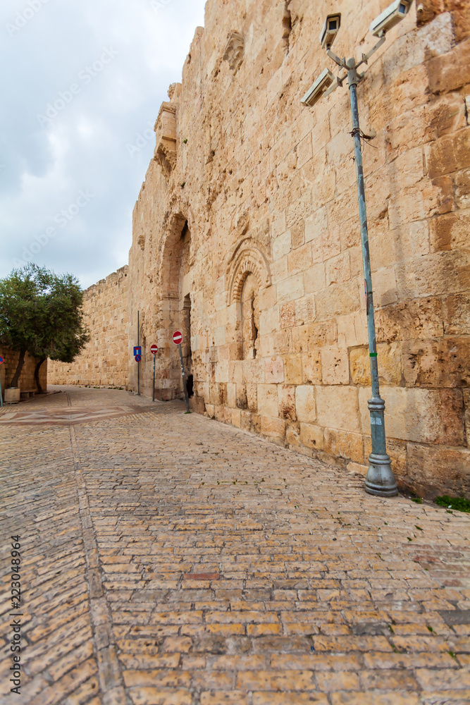 Walls of Ancient City and palm tree, Jerusalem