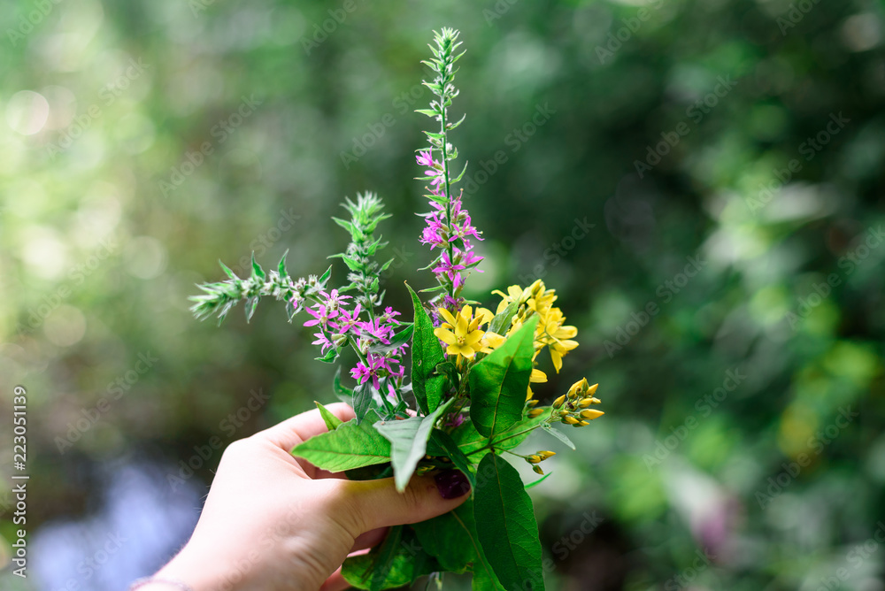 Small bouquet of bright wild flowers in woman's hand on a blurred background