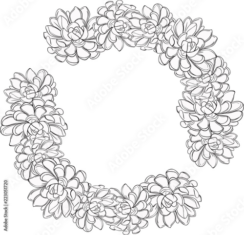 Succulents. Vector. flowers, leaves, Black and white drawing isolated on white. Design for coloring book page for adults and kids, wreath of cactus
