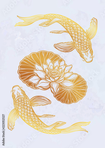 Ethnic fish Koi carp with water lotus flowers