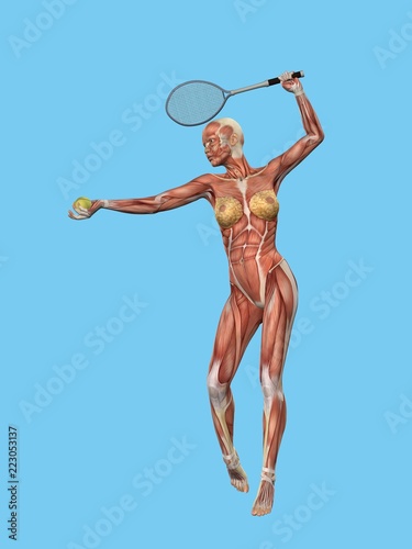 Anatomical front view featuring active muscle motion of woman playing tennis. 