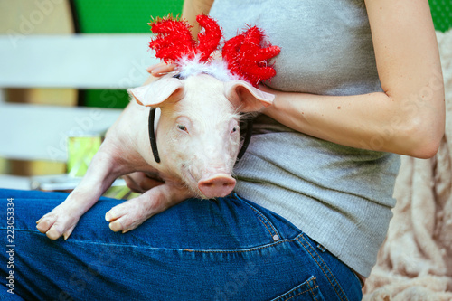 piggie piggy piglet red pig sits Yellow New Year christmas hold hand face decorations deer antler horn photo