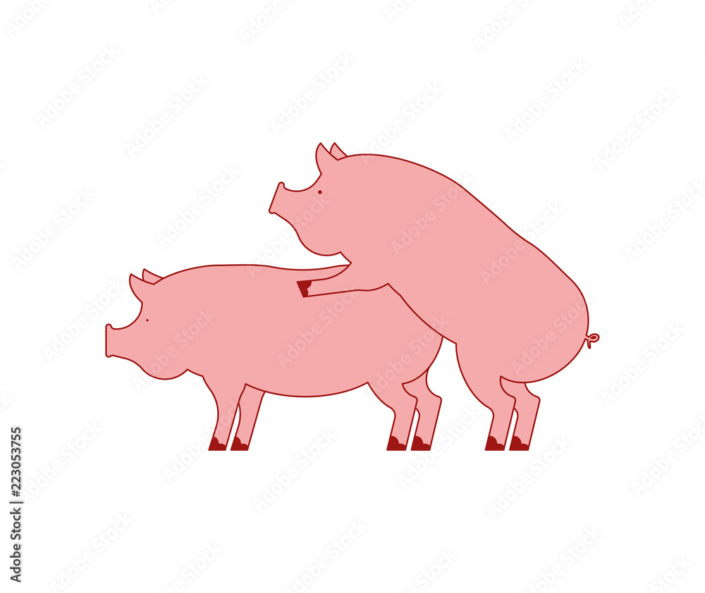 1000px x 842px - Pig sex. Piggy intercourse. Pigs isolated. Farm Animal reproduction Stock  Vector | Adobe Stock