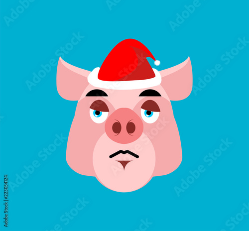 Sad Santa Pig Emoji. sorrowful Piggy. Farm animal. Christmas avatars