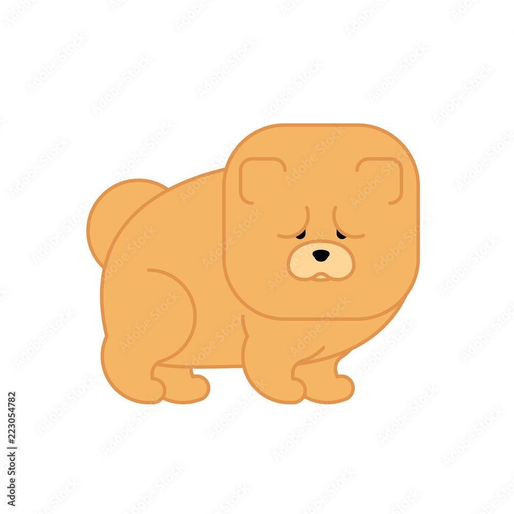 Chow Chow isolated. Dog for China . Pet Vector illustration Chow Chow isolated. Dog for China . Pet Vector illustration