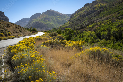 Ruby Mountains, Nevada