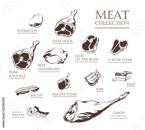 Collection of hand drawn vintage style food ingredients. Outline retro illustrations of meat, ham, pork, beef, lamb, bacon, ribs, steak, tenderloin. Vector icons, emblem and logo elements.