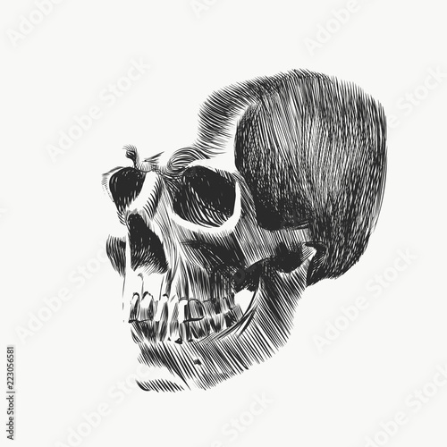 Skull pattern in hand drawn style. Vector black and white illustration of human skull for tattoo or background of banner.