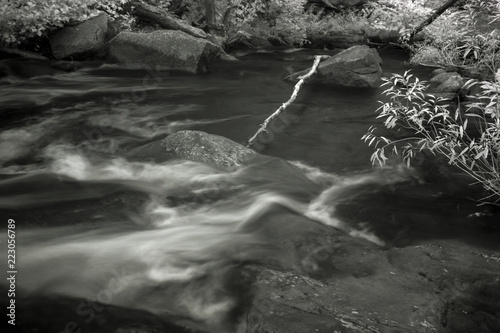 Fototapeta Naklejka Na Ścianę i Meble -  Infrared Exposure, Fresh Water Spring Flowing Through Forest