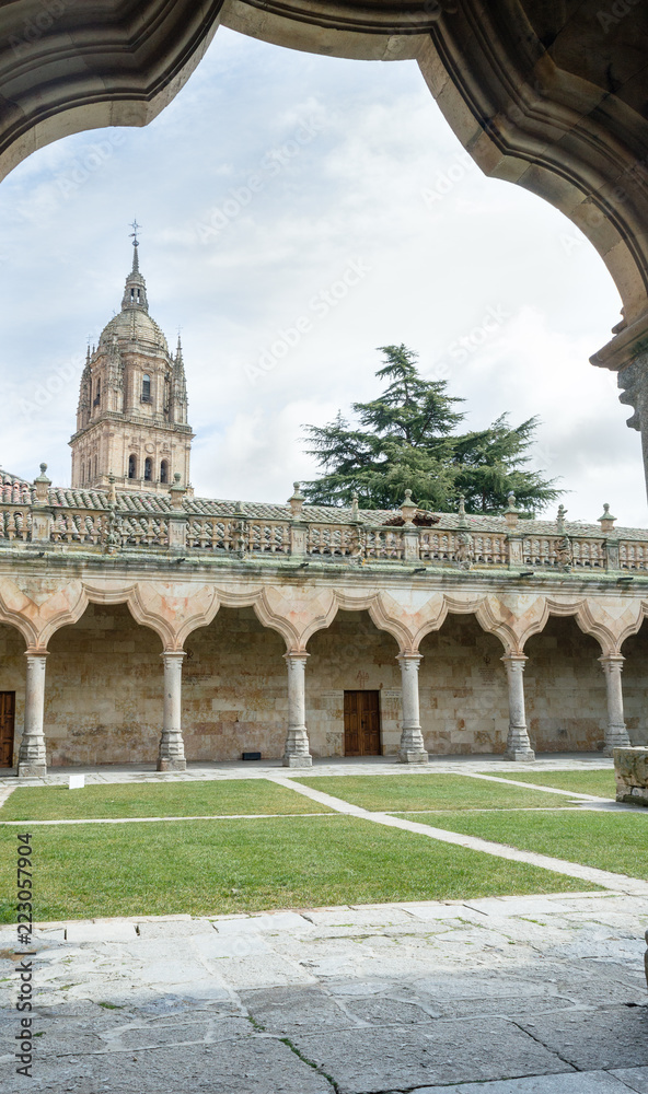 View of the bell tower of the cathedral of Salamanca from the cloister of the smaller schools of the university