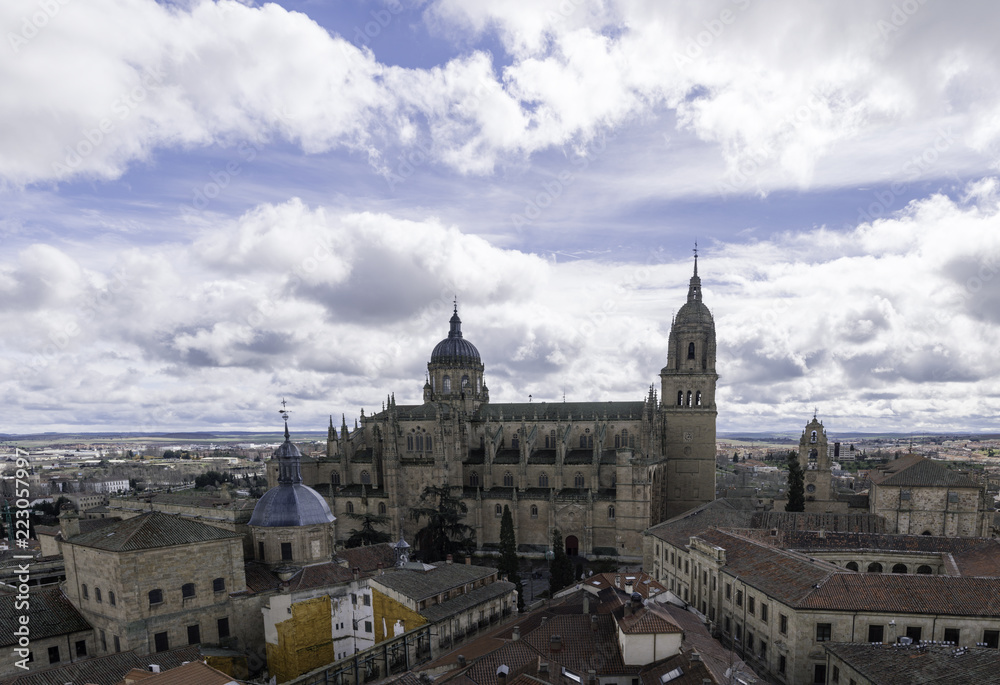 View of the cathedral of Salamanca from one of the bell towers of the Clerecia