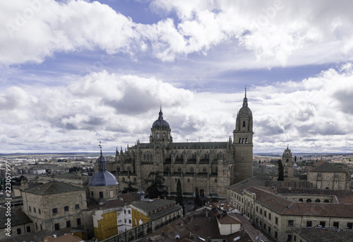View of the cathedral of Salamanca from one of the bell towers of the Clerecia