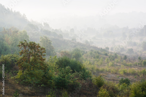 Summer landscape. Green hills with trees in morning mist