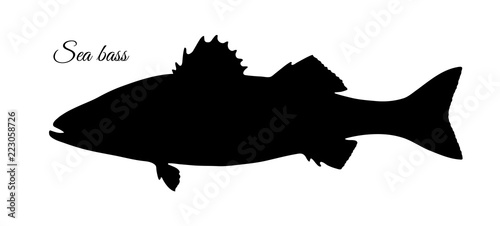 Silhouette of sea bass.