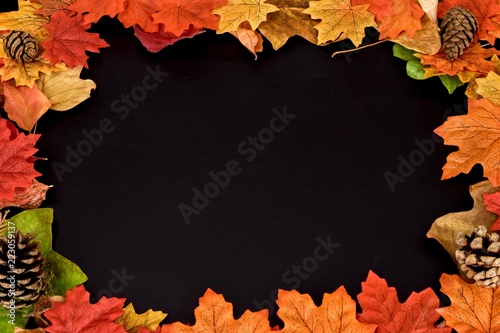 Obraz na płótnie Autumn leaves background w salonie
