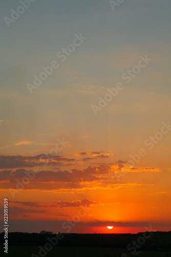 sunset in the field on the background of forest in the summer. Wonderfull view