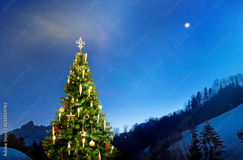 Weihnachtsbaum in einer Berglandschaft im Winter Weihnachtsbaum in einer Berglandschaft im Winter