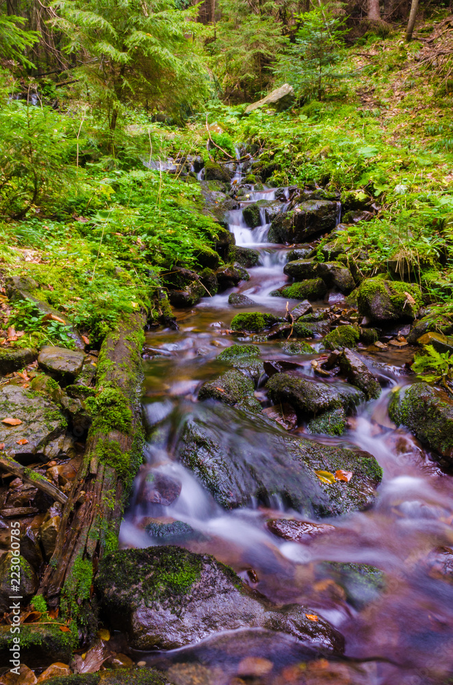 Small creek in the Carpathian Mountains in the autumn season Small creek in the Carpathian Mountains in the autumn season