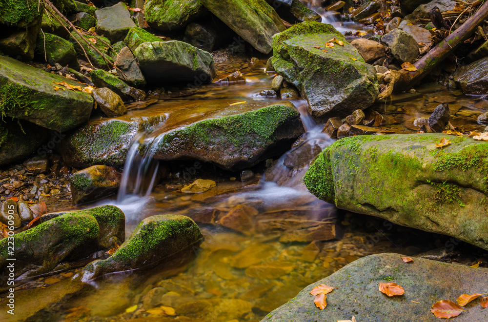 Small creek in the Carpathian Mountains in the autumn season Small creek in the Carpathian Mountains in the autumn season