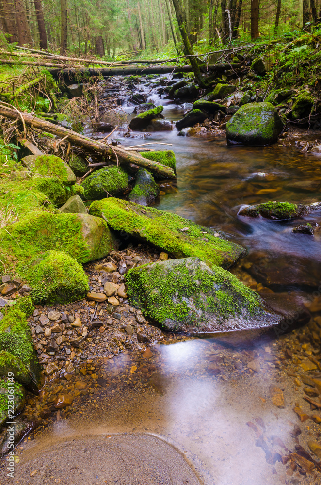 Fototapeta premium Small creek in the Carpathian Mountains in the autumn season