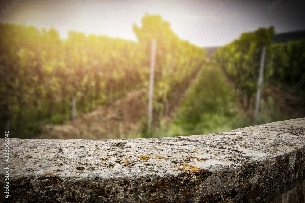 Fototapeta premium wall in wineyard 