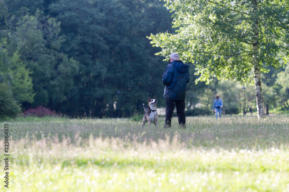 Fototapeta premium man with dog