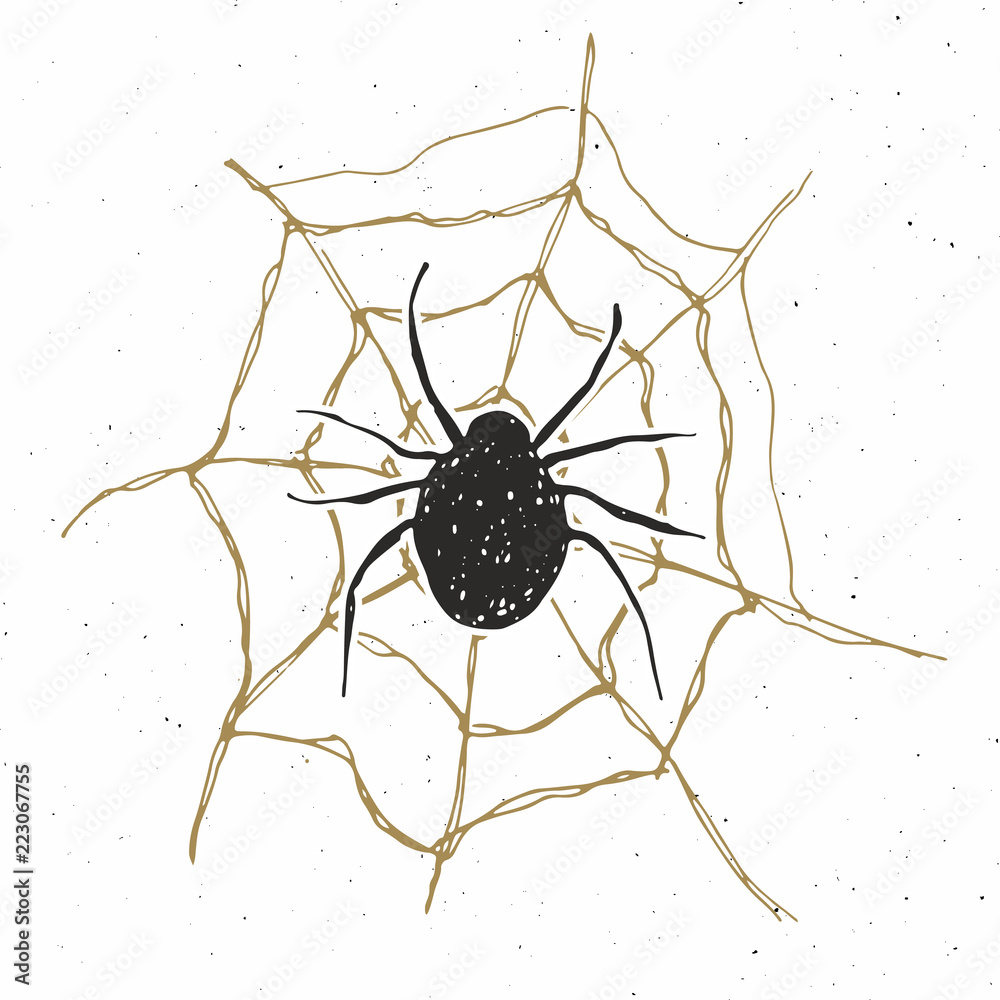 Spider and web vintage label, Hand drawn sketch Halloween greeting card, grunge textured retro badge, typography design t-shirt print, vector illustration