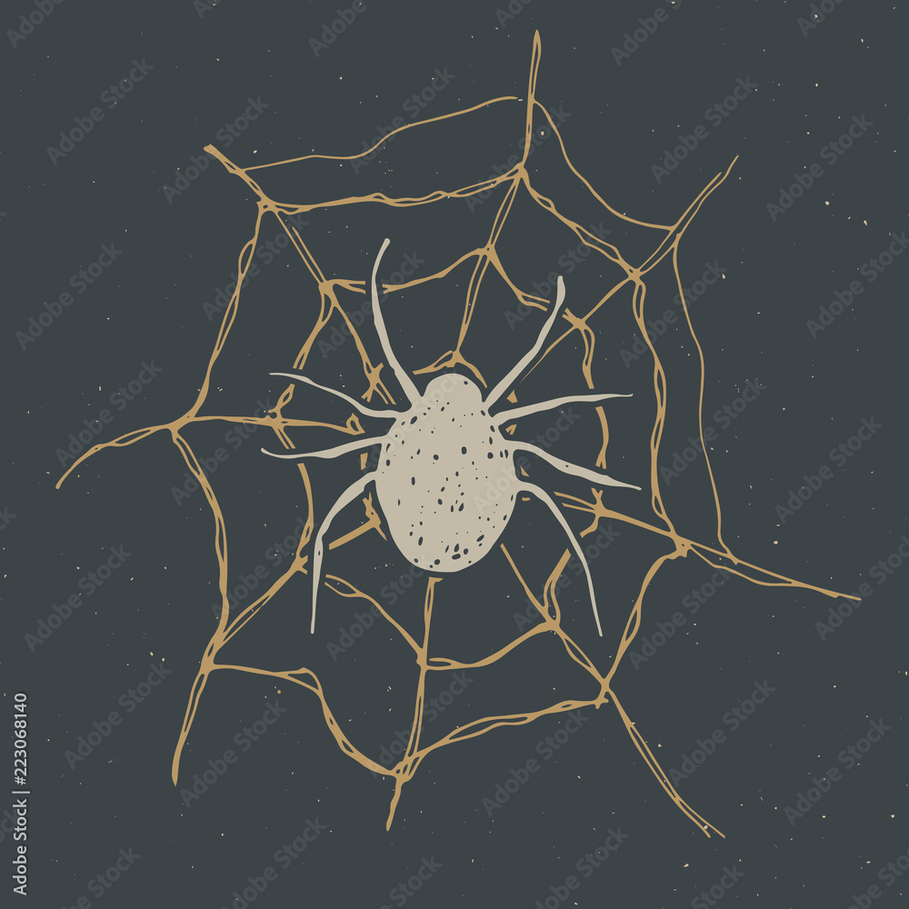 Spider and web vintage label, Hand drawn sketch Halloween greeting card, grunge textured retro badge, typography design t-shirt print, vector illustration
