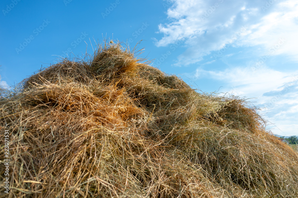 a pile of dry grass lies in the garden against the sky a pile of dry grass lies in the garden against the sky