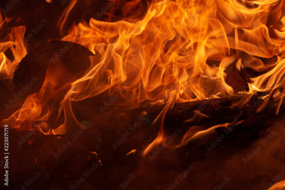 Fototapeta premium Flame of fire on a black background
