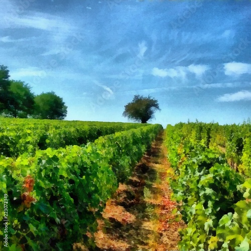 Hand drawing watercolor art on canvas. Artistic big print. Original modern painting. Acrylic dry brush background. Beautiful green vineyard landscape.