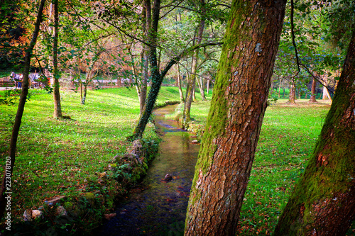 Beautiful park scene