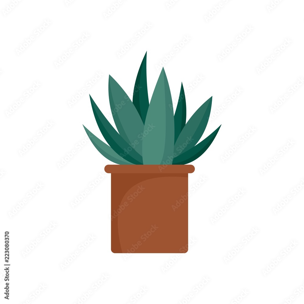 Aloe cactus pot icon. Flat illustration of aloe cactus pot vector icon for web design Aloe cactus pot icon. Flat illustration of aloe cactus pot vector icon for web design