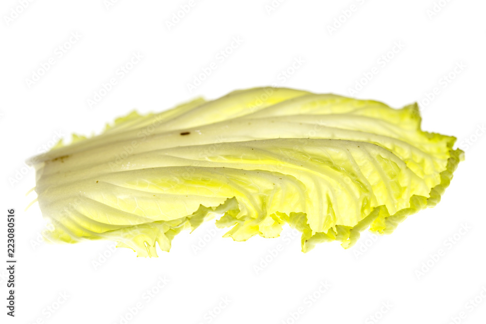 cabbage leaves for salad on a white background
