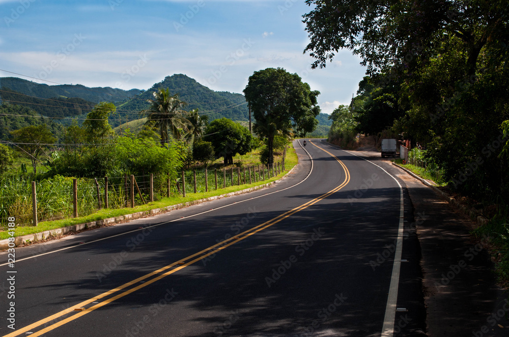 road in the forest