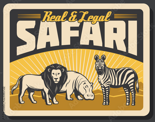 African lion, hippo and zebra animals