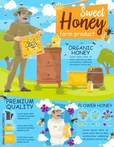 Honey harvest, beekeeper checking beehive