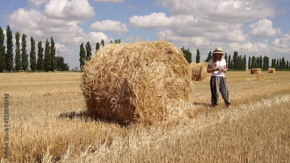 Attractive young female playing with wheat plant standing beside fresh cut bale of hay on sunny field on hot summer day Attractive young female playing with wheat plant standing beside fresh cut bale of hay on sunny field on hot summer day