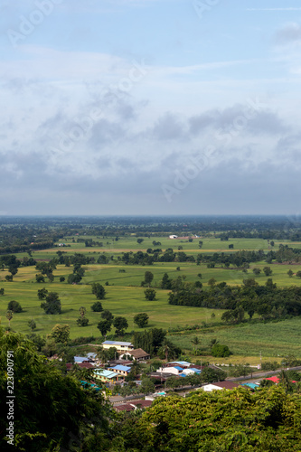 High angle view of residential area with rice paddies.