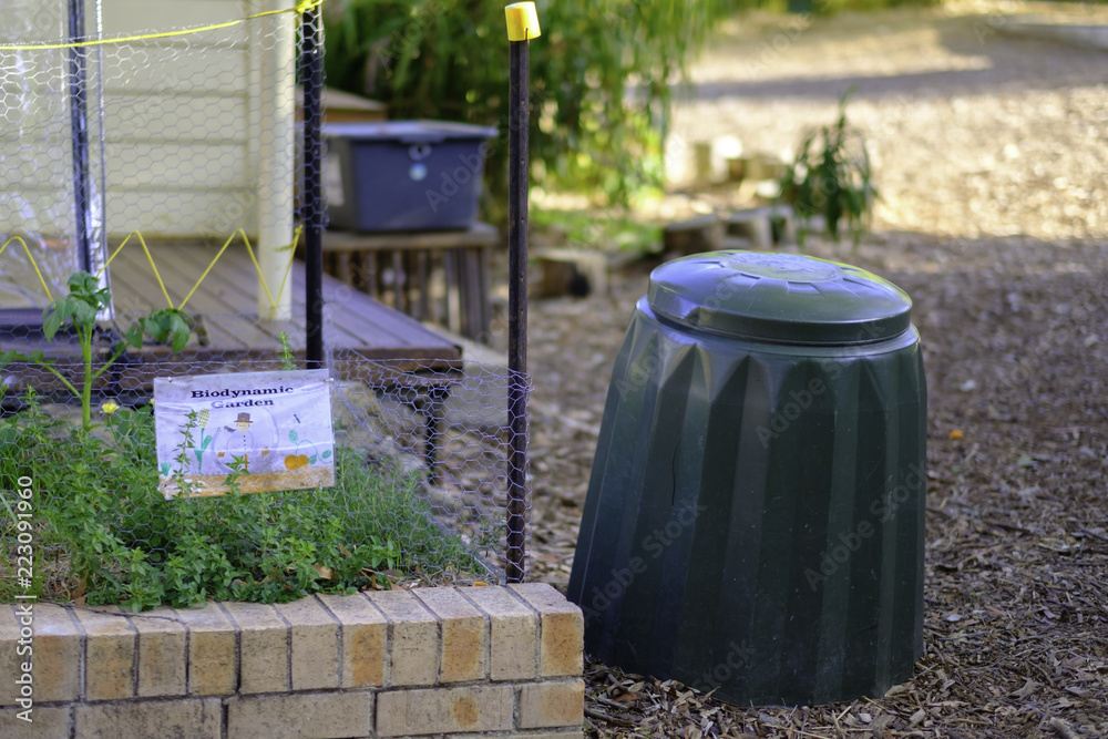 Obraz premium Children learning about biodynamic gardening and composting