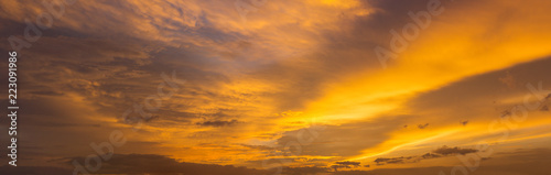 Wide view of the golden sky background.