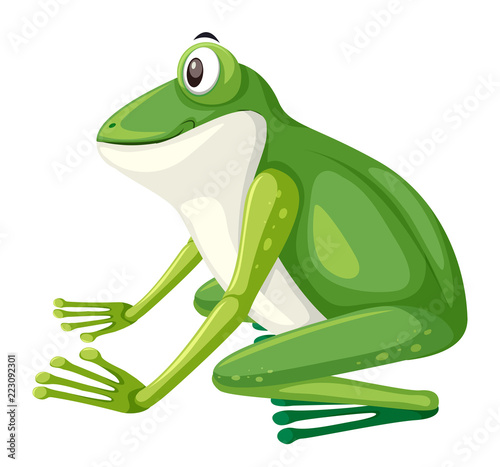 Side view of green frog