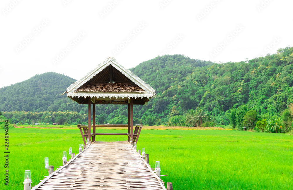 Rural Green rice fields and bamboo bridge. Place name Sutongpe Bridge. the longest wooden bridge located in Mae Hong Son province The Northern of Thailand.
