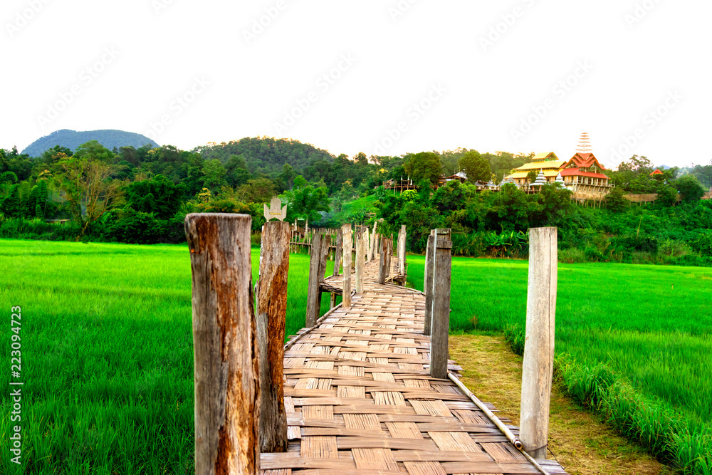 Fototapeta Rural Green rice fields and bamboo bridge. Place name Sutongpe Bridge. the longest wooden bridge located in Mae Hong Son province The Northern of Thailand.