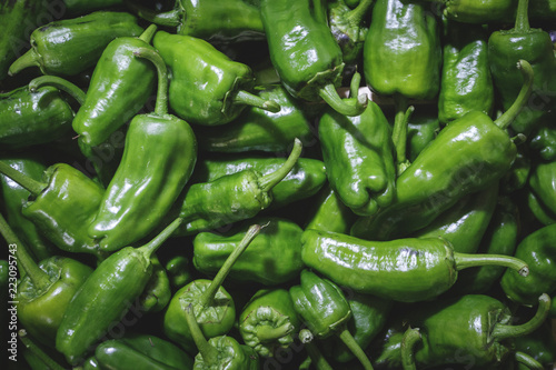 Fresh green padron hot chili peppers photo