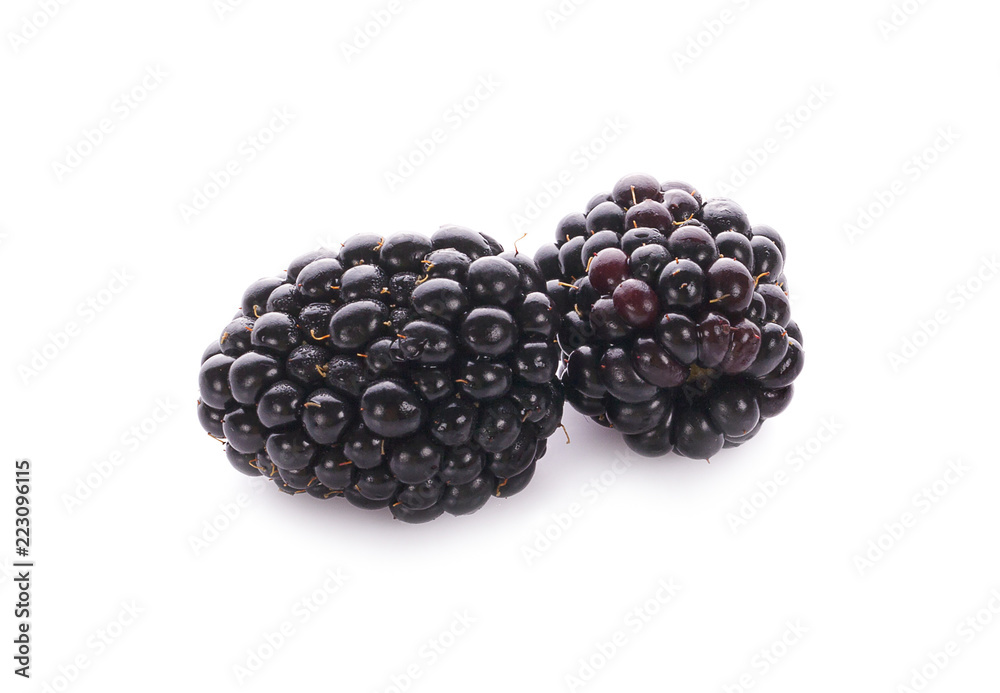 Ripe blackberry isolated on white background with clipping path. Ripe blackberry isolated on white background with clipping path.